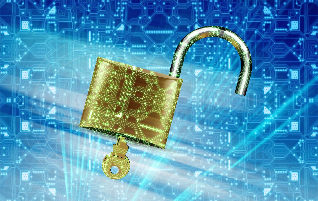 Les professionnels de la sécurité informatique
